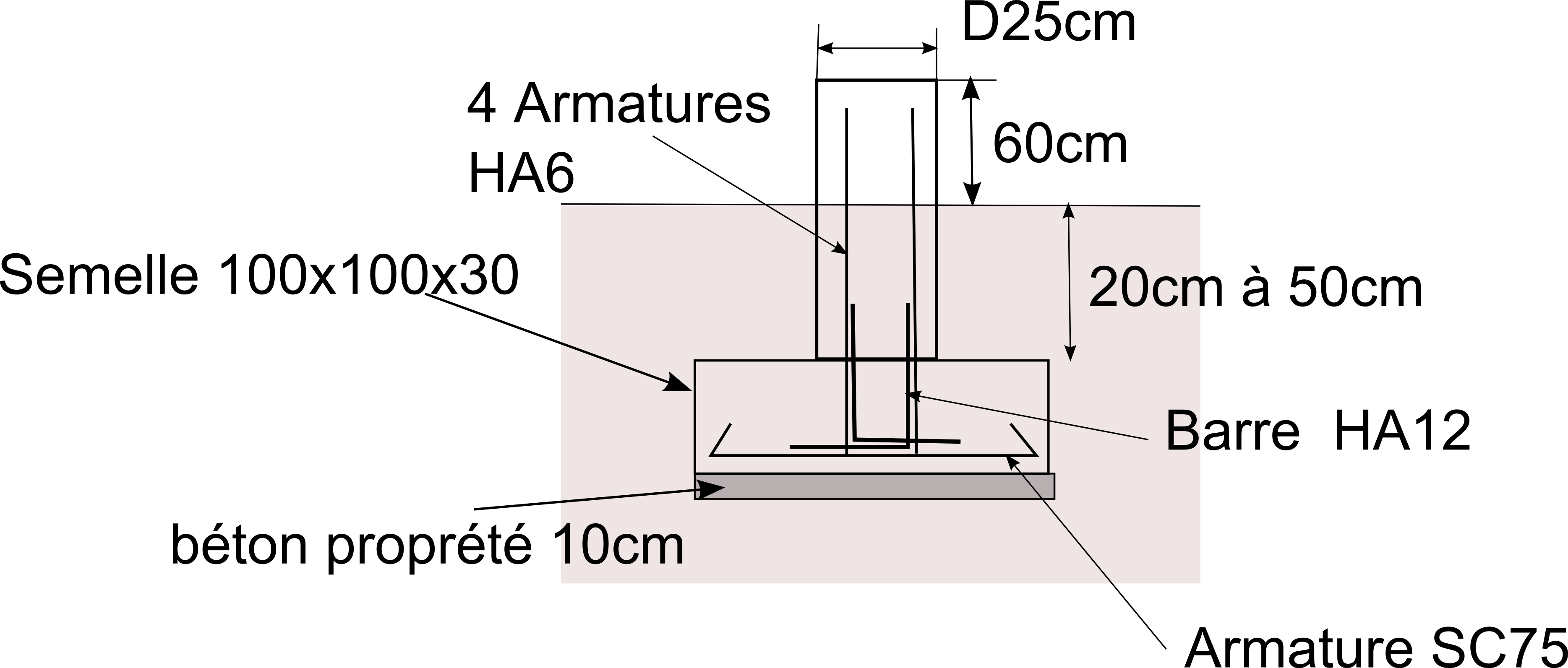schema